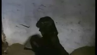 Млади красавици лижа ...