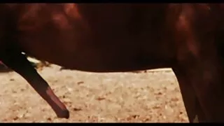 Възстановена връзка  ...