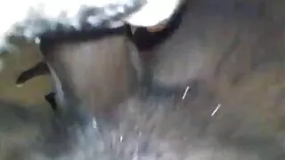 Секси уличници се чу ...