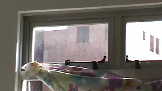 Възрастна мама свирк ...
