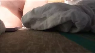 Две млади кучки събл ...