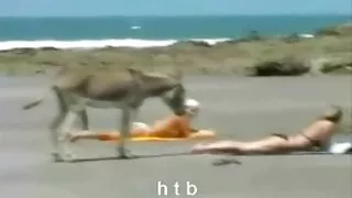 Красиво момиче се би ...